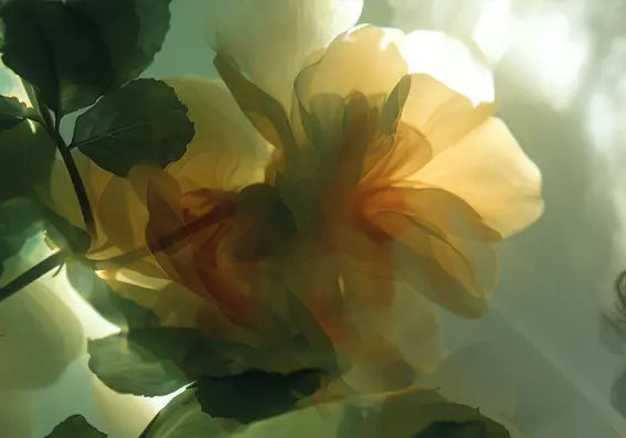 Musterstoffe in der Mode - Trends 2025