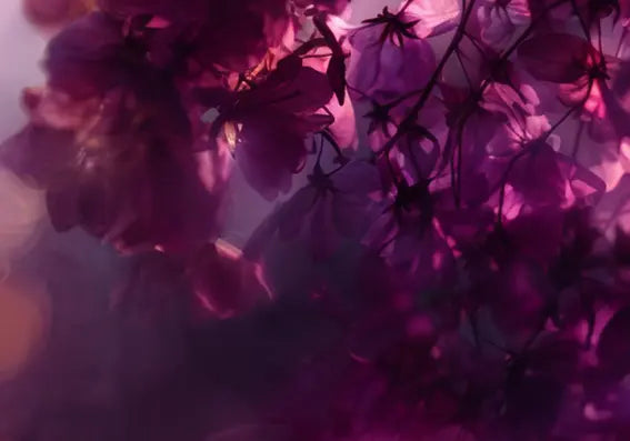 Stoffe in der Mode - Trends 2025